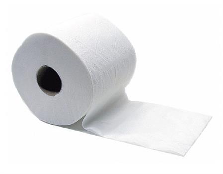 Soft Toilettenpapier 2lagig Recycling Pack à 10 x 6 = 60 Rollen à 250 Blatt