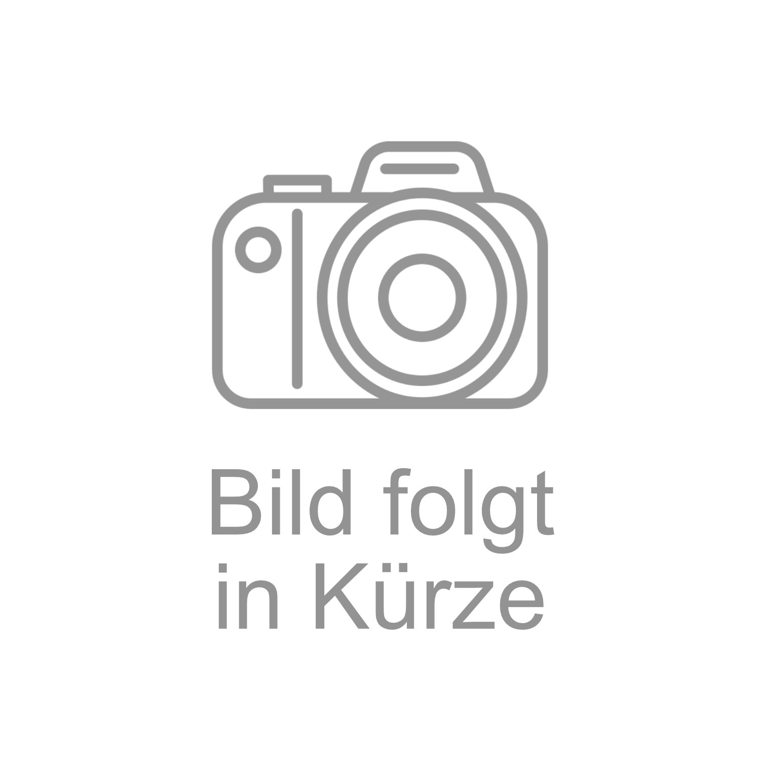 Ladegerät 8Ah für CAS-Batterien zu Wirbel DBP4 BC Lithium