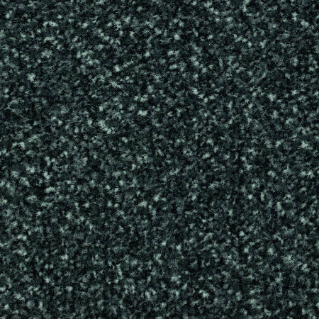 Schmutzschleuse Coral Classic 4701